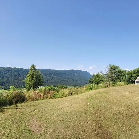 Hillside Dağ evi Bled